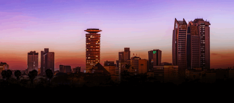 10 Reputable Real Estate Agents in Kenya (2026 Update) - ProBuildersKanya