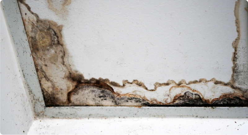 Emergency Home Repairs in Kenya: What Cannot Wait - Fixo Solutions - ProBuilders Kenya